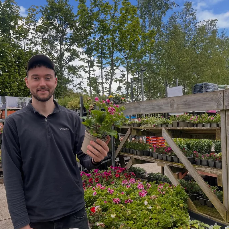 PJD Gardens project 2