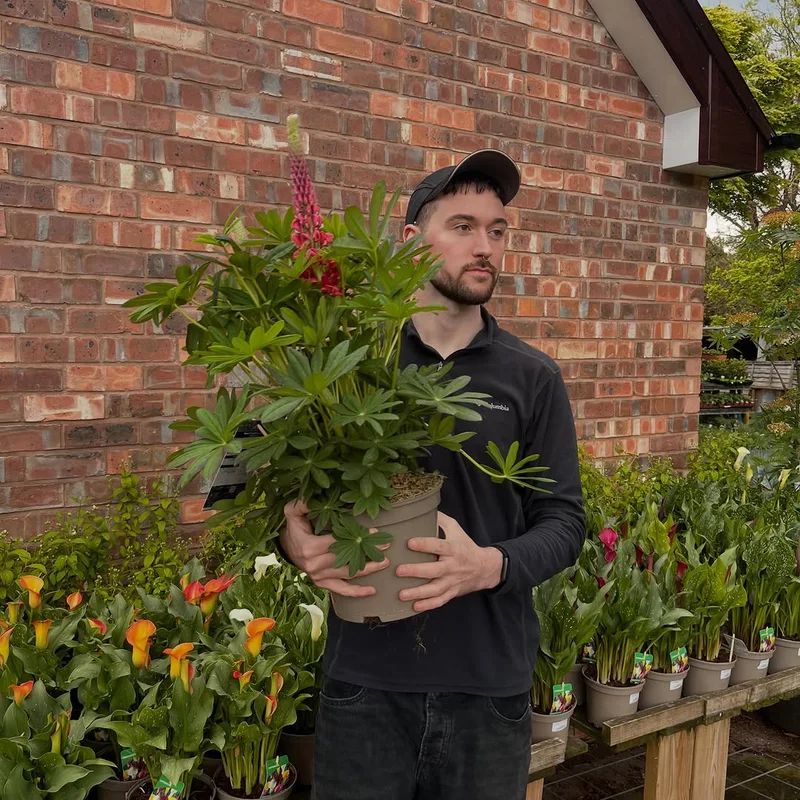 PJD Gardens project 3
